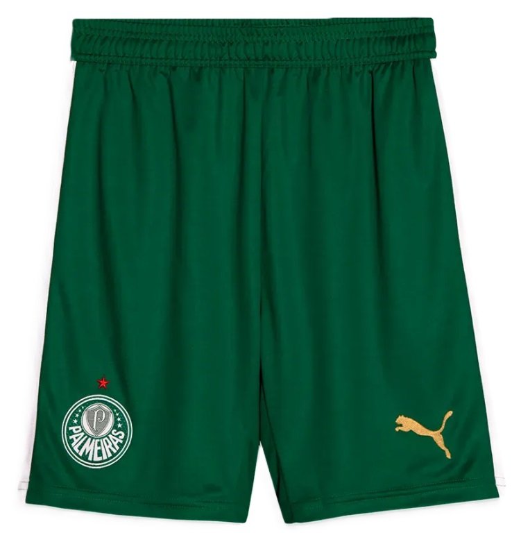 Calção II Palmeiras 2024 Puma oficial 